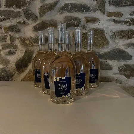 Chez Pauline & Vincent Cote Canal * Carcassonne