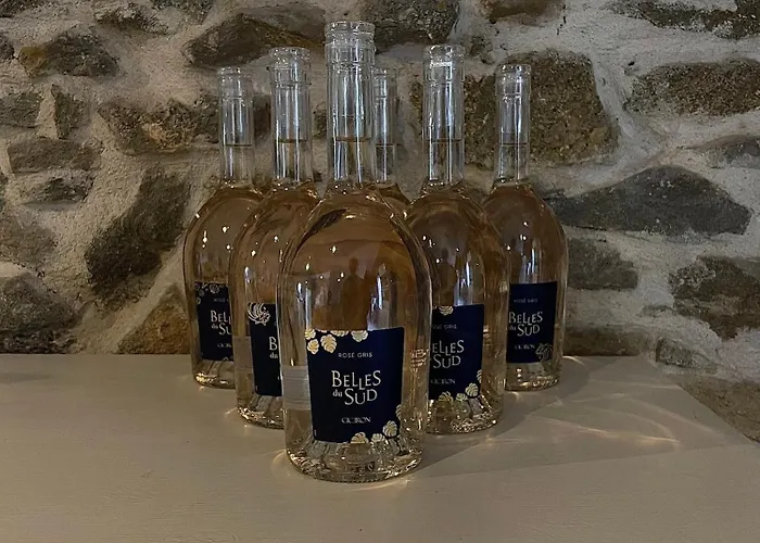 Chez Pauline & Vincent Cote Canal * Carcassonne