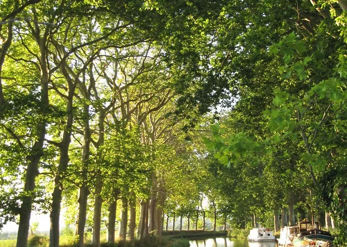 Apartment Chez Pauline & Vincent Cote Canal *